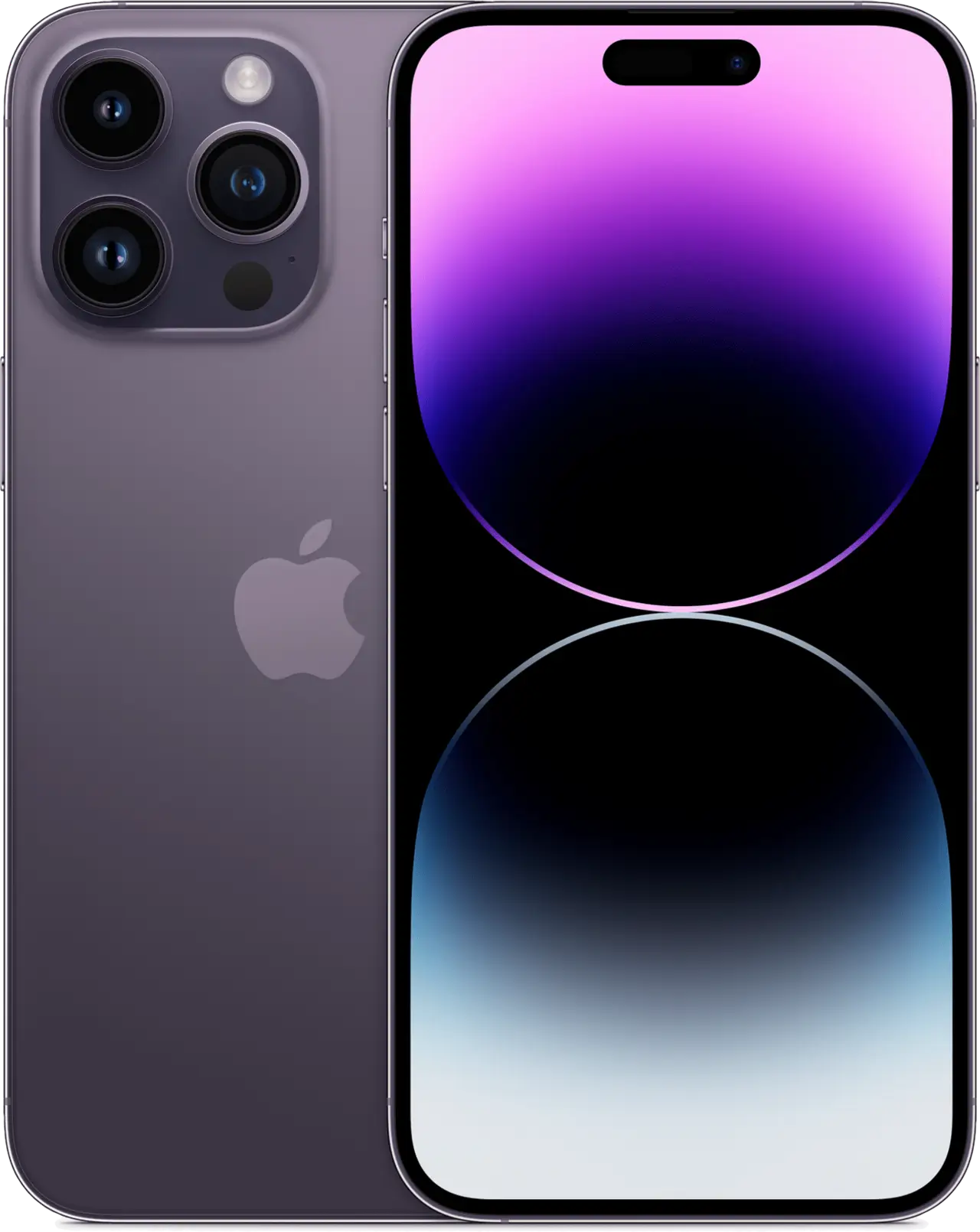 main banner img